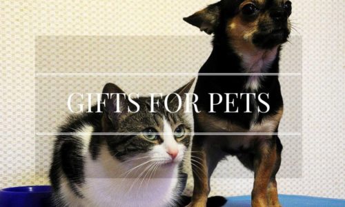 Gifts For Pets